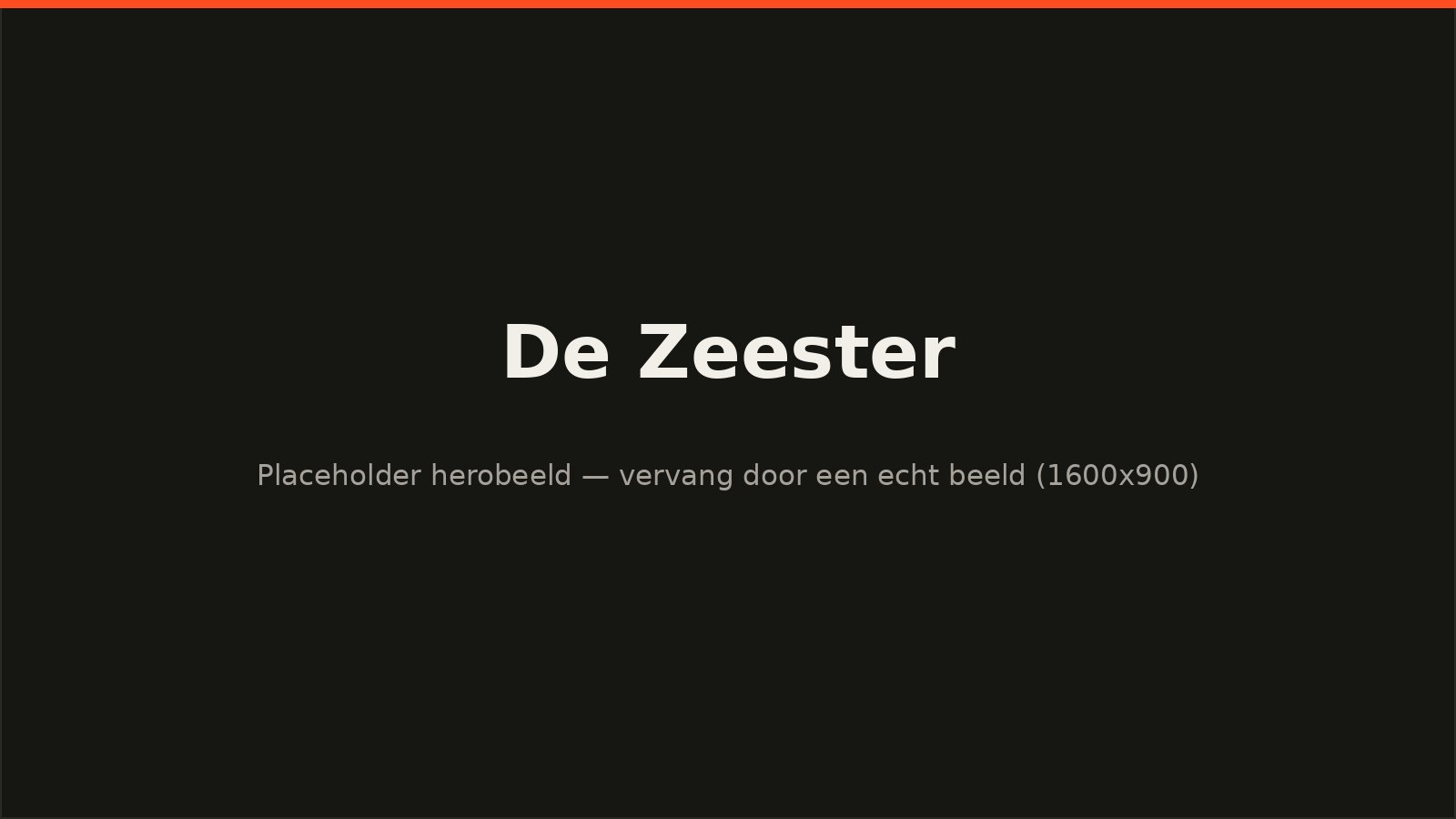 Sfeerbeeld van het project voor De Zeester